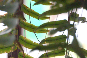 Lanzarote-03pf