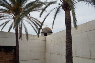 Palmen