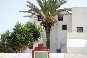 Palmen