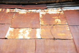 Rost