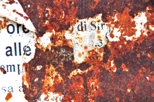 Rost