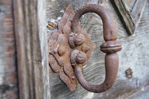 Rost